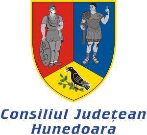 Logo van Hunedoara
